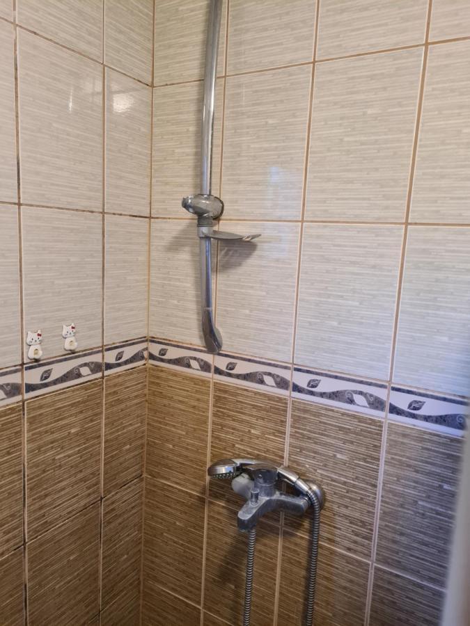 Saray Downtown Apartment Private Parking Free Wifi Saraybosna Dış mekan fotoğraf