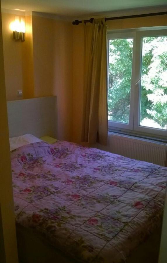 Saray Downtown Apartment Private Parking Free Wifi Saraybosna Dış mekan fotoğraf
